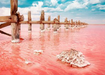 The pink lake is a beautiful landscape, unusual nature. A unique rare natural phenomenon. Salt lake with pink algae. Beautiful landscape.